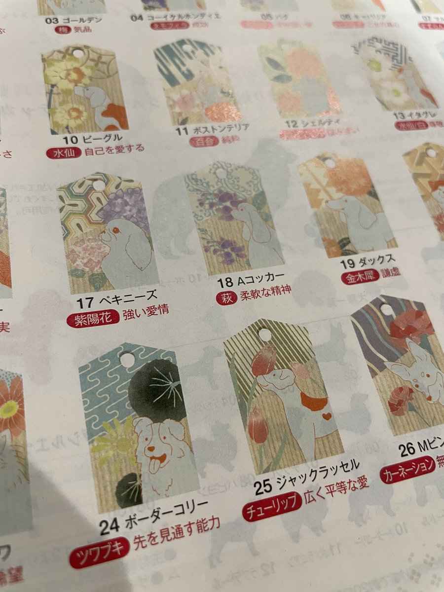 みんな凛としてるのに
なんでボーダーだけ間抜けな顔なんwww