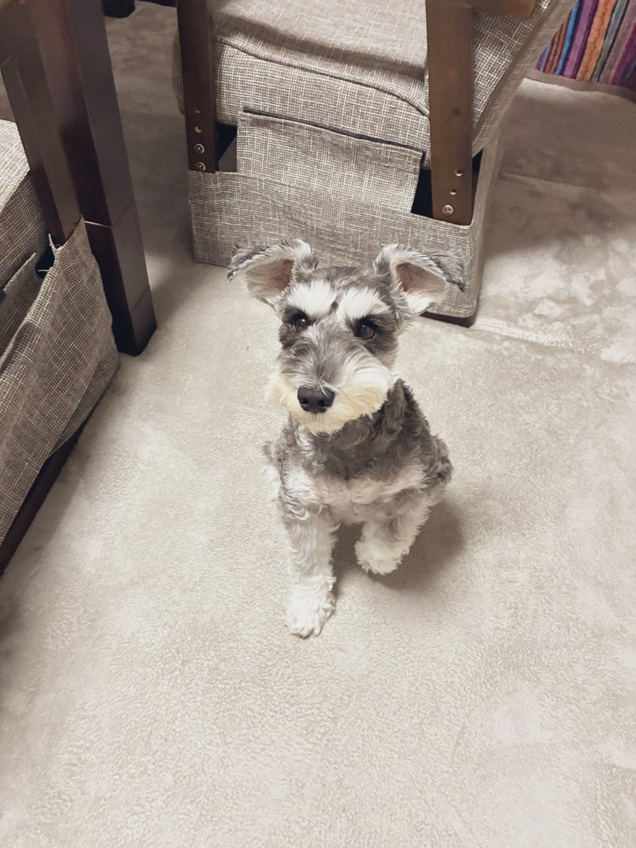 たなか on X たなか on X