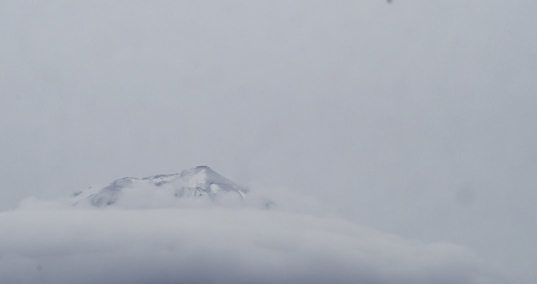 「andy！亅 Buy Adidas ZX Flux 'Collegiate Purple' - B34491 | GOAT