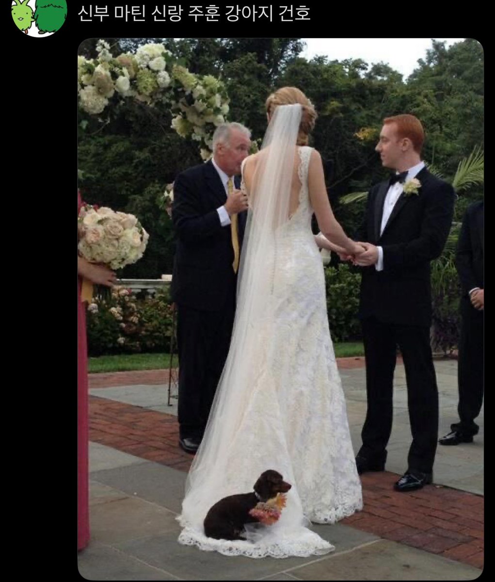 ㅋㅋㅋㅌㅋㅋㅌㅋㅋㅋㅋㅋㅋ씨잘