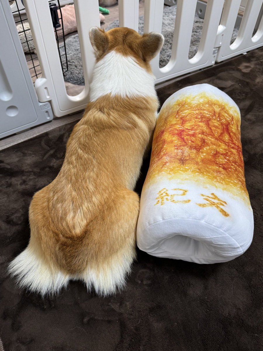 よっつる｜楽天roomで築27年オシャレ改造計画！ (@ji_zhe20966