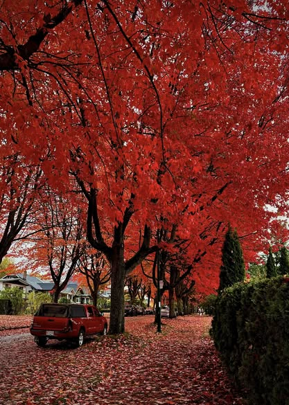 Have I mentioned how much I love autumn?