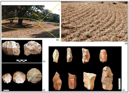 Quaternary_MDPI's tweet image. 🔍 Challenging the idea of a rapid #UpperPaleolithic takeover.

🪨 Lithic blade technology in Eastern Gujarat may have emerged in situ from #MiddlePaleolithic traditions.

✍️ by Gopesh Jha, et al. 
🔗 mdpi.com/2571-550X/6/2/…

#BladeTechnology #Paleolithic