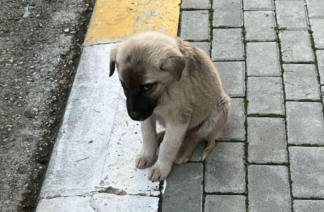 temizlikci abla merdivenleri silerken merdivenleri kullanmak zorunda kalınca bizim mahcubiyet