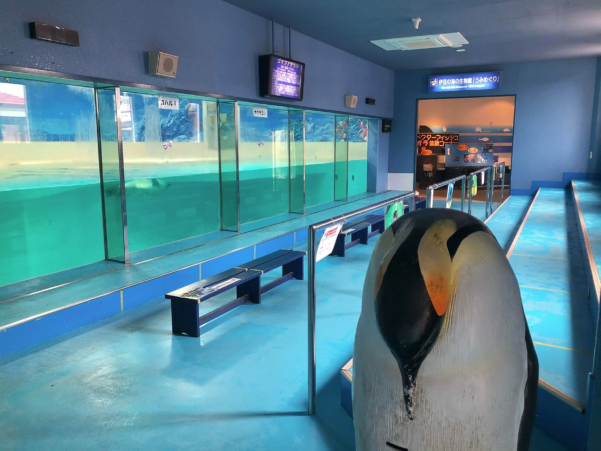 palmtree_616's tweet photo. 下田海中水族館🐟
ノスタルジーを感じて

水族館の壁画が好き
カタカナ表記が好き
モニターじゃなくて蛍光灯で内側から照らすタイプの看板が好き
光が不均一で、ちょっと怪しいから https://t.co/Ef8tSUzOfj