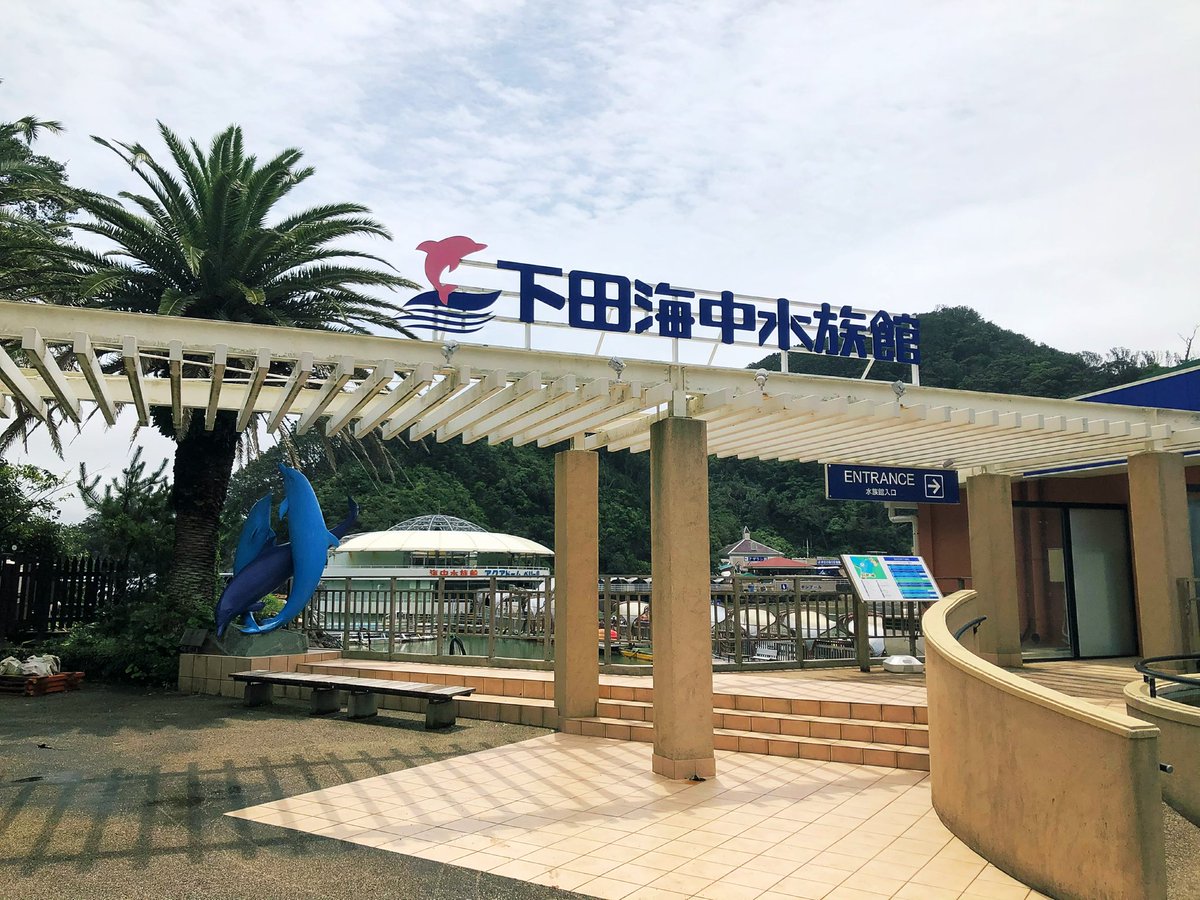 palmtree_616's tweet photo. 下田海中水族館🐟
ノスタルジーを感じて

水族館の壁画が好き
カタカナ表記が好き
モニターじゃなくて蛍光灯で内側から照らすタイプの看板が好き
光が不均一で、ちょっと怪しいから https://t.co/Ef8tSUzOfj