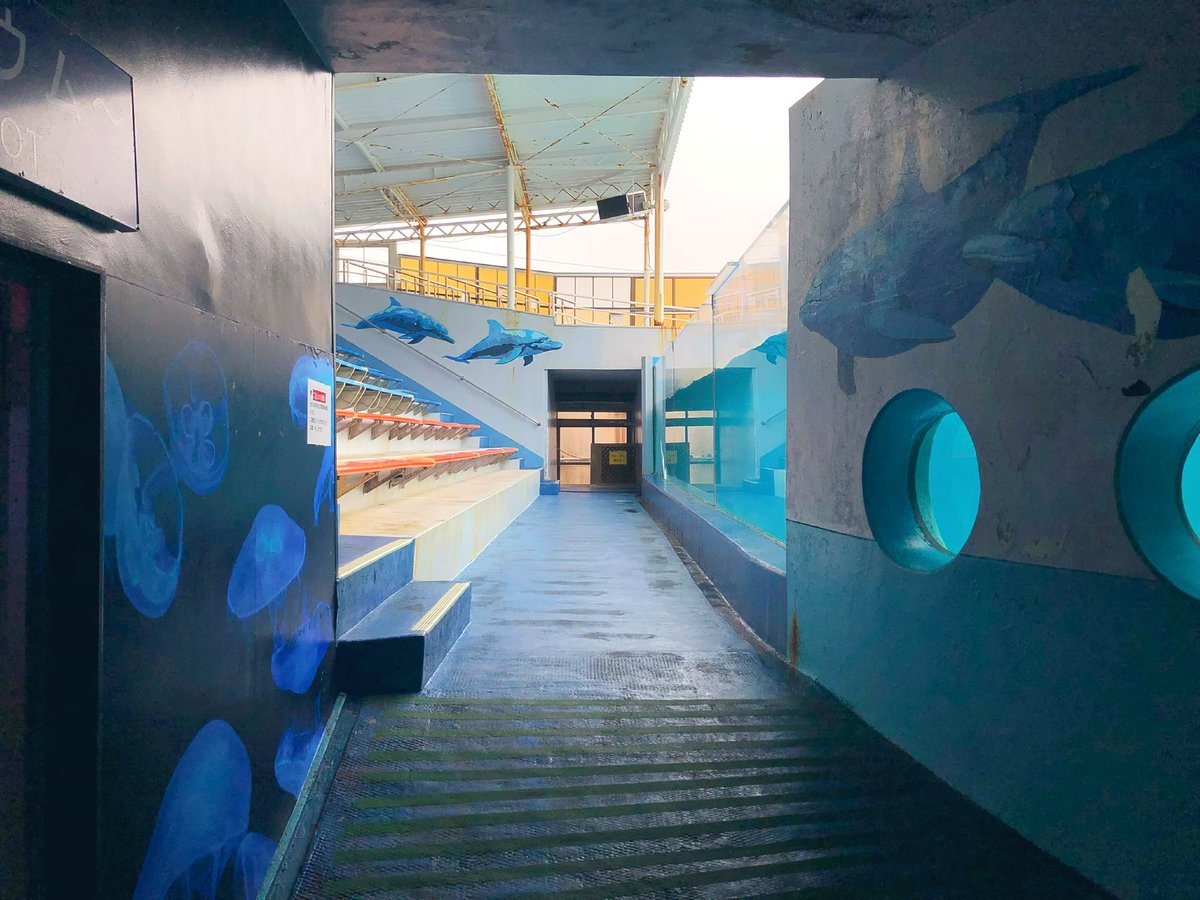 palmtree_616's tweet photo. 下田海中水族館🐟
ノスタルジーを感じて

水族館の壁画が好き
カタカナ表記が好き
モニターじゃなくて蛍光灯で内側から照らすタイプの看板が好き
光が不均一で、ちょっと怪しいから https://t.co/Ef8tSUzOfj