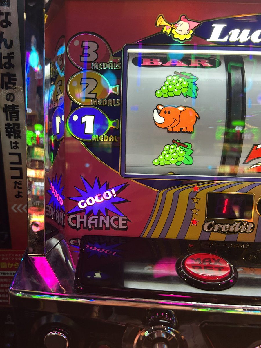 Lily (@lily7_77) / Posts / X