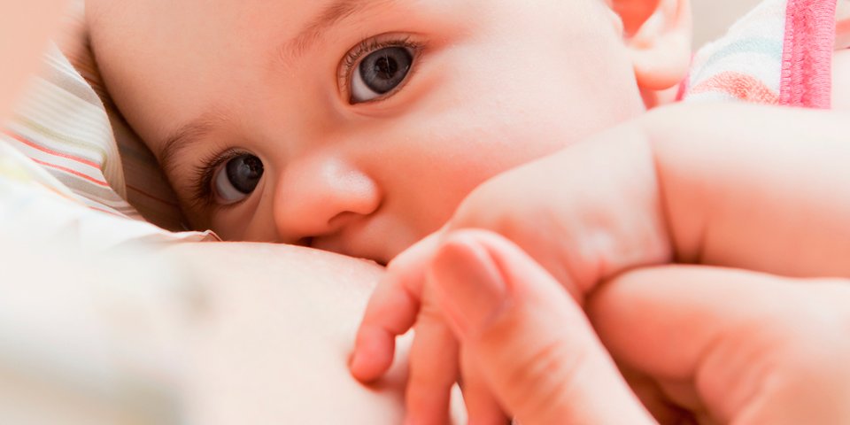 🤱🏻 Grupos de apoyo madre-madre, consultoras y profesionales, estáis invitados a la XIII Jornada de Lactancia Materna #H12O

✅ Actualizar conocimientos, sensibilizar sobre la continuidad entre niveles asistenciales y compartir experiencias.

🔗 c.madrid/kw4gl1 #somosdel12