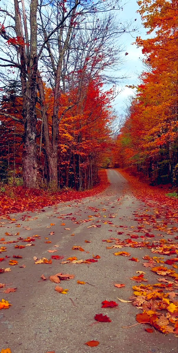 Good Morning Friends!
How’s going?
I wish you have a great day ♥️

8:03 AM in Marshal, Illinois USA