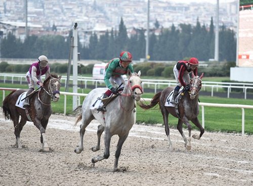 🟢KUMUN PRENSİ GERİ DÖNÜYOR

Kum pistte toplam 11 Grup Galibiyeti bulunan Canmete, Pazartesi gününe kayıtlı olduğu G3 Uludağ Koşusu'yla geri dönmüş olacak.

Canmete 164 gündür koşmuyordu.