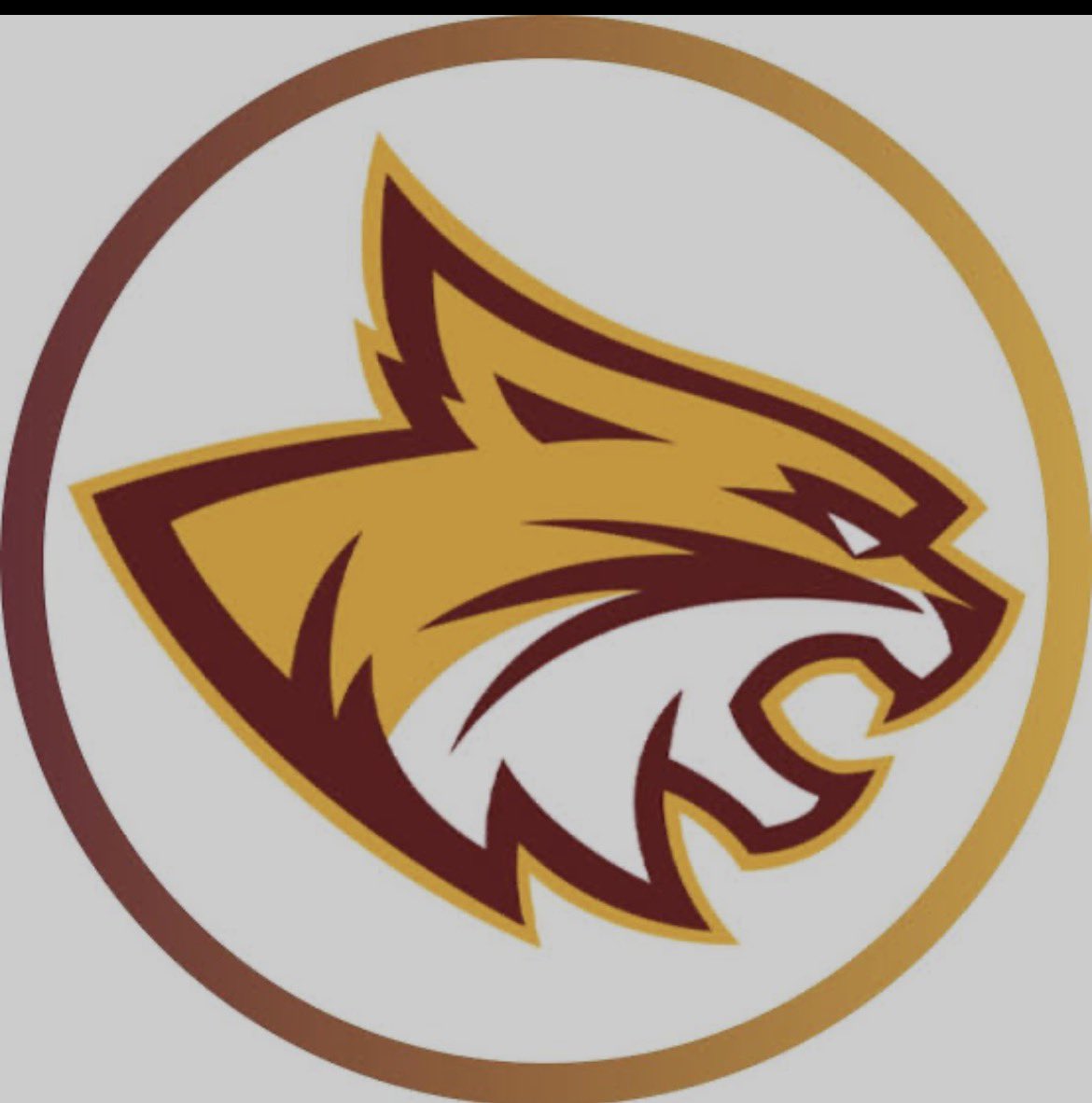 Colt Whitacre tweet media