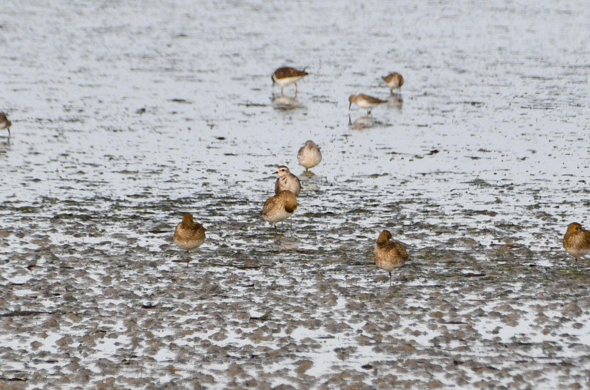 J@a.p (@jose_ap19) on Twitter photo 