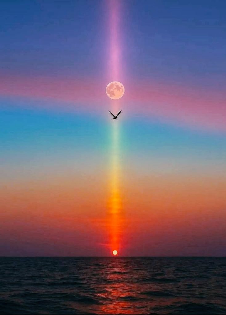 Le bonheur se blottit dans le creux des gestes tendres , des mots doux....
D'un sourire, d'un regard vers le ciel. 🌹💫