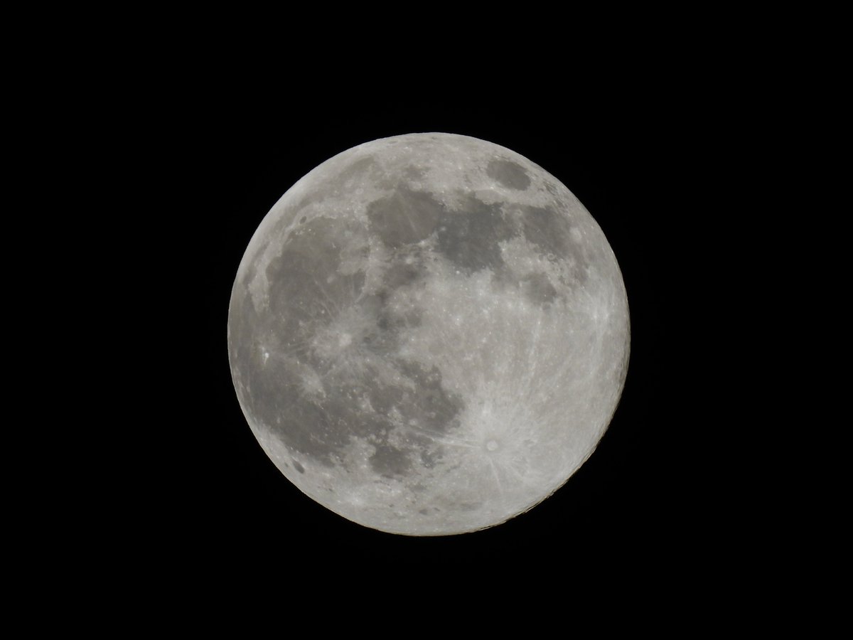 gyakusy's tweet image. #スーパームーン
#P950
#NIKON
焦点距離2000㎜
月撮影モードにて