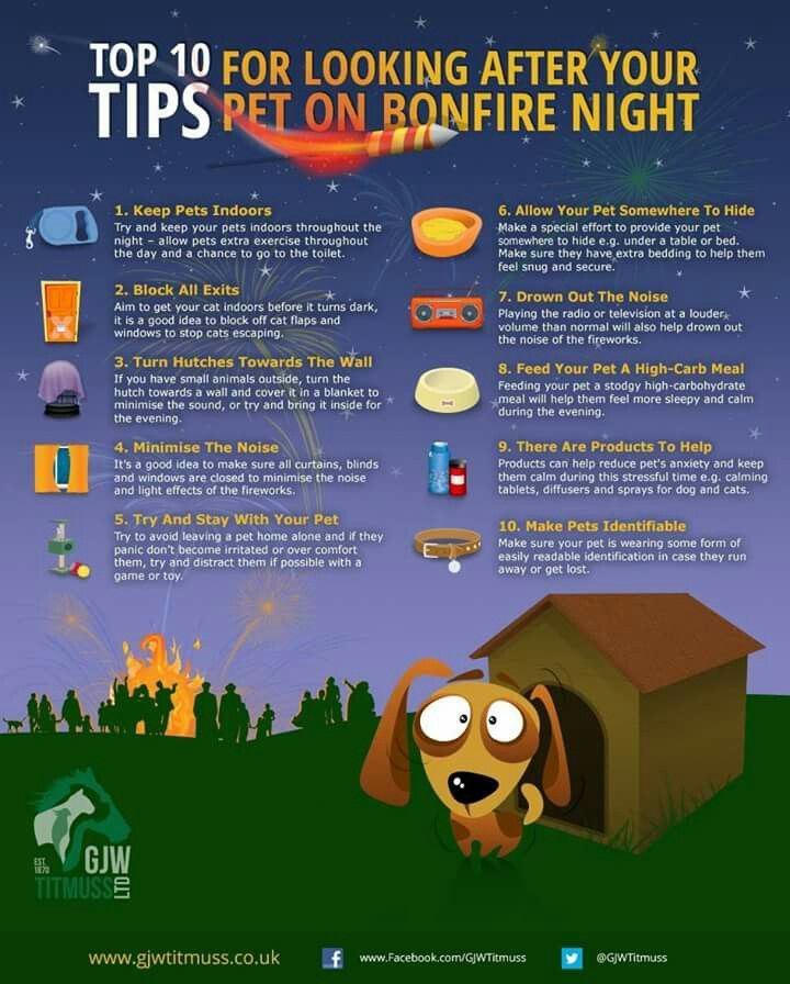 🌟🐾 Bonfire Night is here! Let's keep our furry friends safe during the fireworks:  
1. Keep them indoors.  
2. Create a cozy den.  
3. Use music/TV to mask noise.  
4. Close windows &amp; curtains.  
5. Stay calm! 🎆❤️  
#BonfireNight #PetSafety #Fireworks #FurryFriends #CalmPets