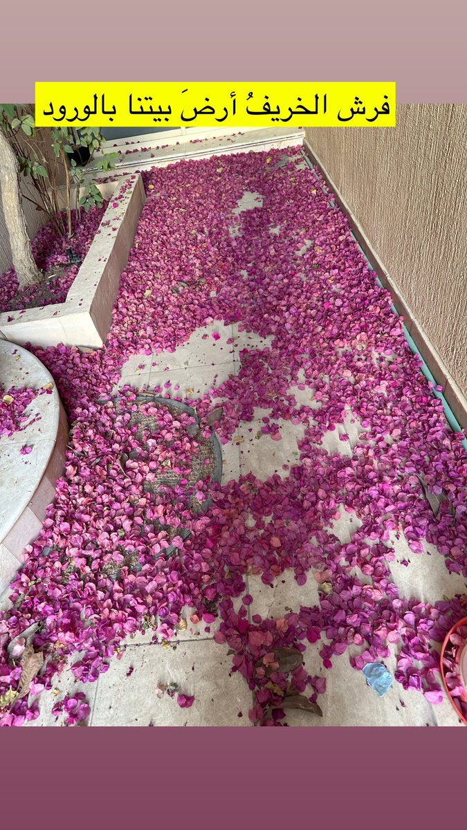 فرش الخريف أرض بيتنا بالورود
