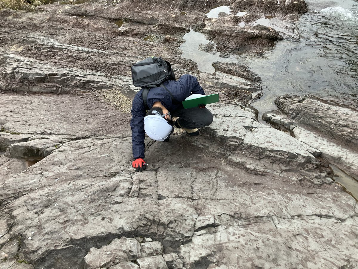 岡山理科大学 生物地球学部 恐竜学科 tweet media