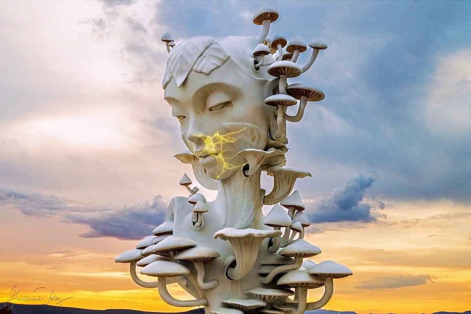 Daniel Popper tweet media