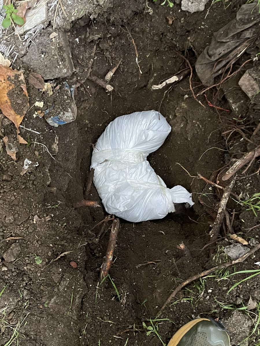 İşte bu kadardı Dünyâ’da işgâl ettiği alan O’nun.
Her sabah penceremden seslenirdi:
“Bana da içeridekilere verdiğin mamadan ver” diye…
Ayırt etmedim içeridekilerle dışarıdakileri hiç.
Sen de özlenenler listeme girdin mâlesef güzel Kırçıl. 
#Kırçıl #SokakHayvanlarıSahipsizDeğil