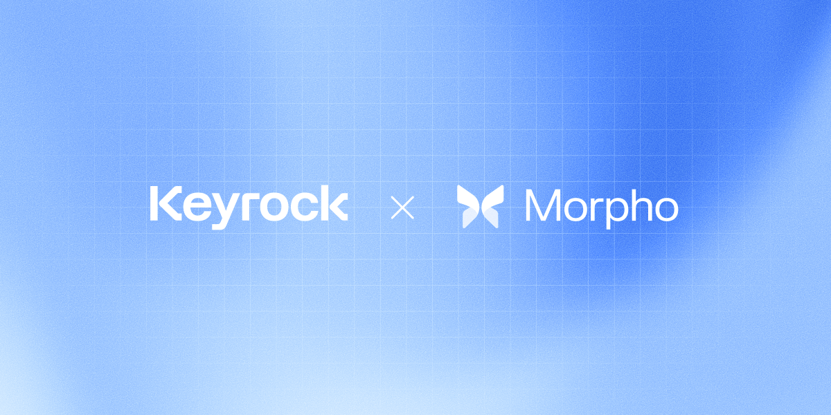 Morpho 🦋 tweet media