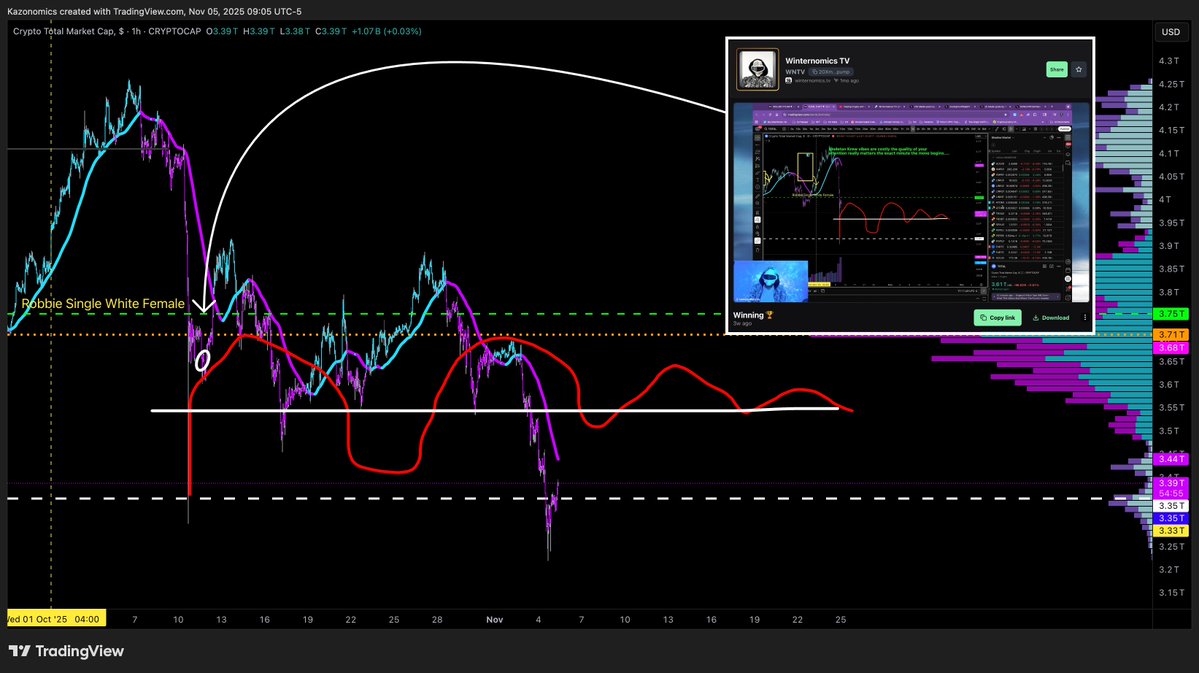 winternomics's tweet image. We kinda told ya this was how it was gonna go on &quot;Winning 🏆&quot; we will 🐝 back streaming this week don&apos;t sleep on us Winternomics.tv is must see 📺 $WNTV 🥶🚀
