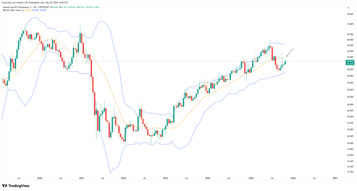 Cantonese Cat 🐱🐈 tweet media