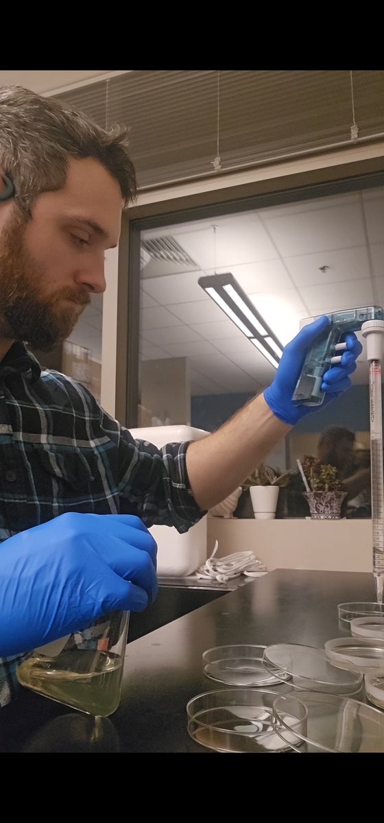 bms_ualbany's tweet photo. Take a look at what our 1st year PhD students are up to in their 2nd rotations! Carli's comparing cell wall morphology of different S. aureus mutants. Hayden's examining virulence factors of Pseudomonas mutants while Eva is collecting mosquitos for vector competence assays! https://t.co/tKDQCUgKBG