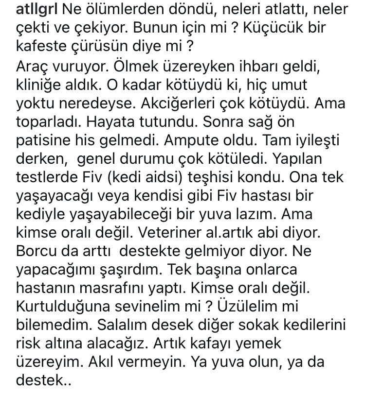 Banyoda katta kokrak porno video Eshakda katta sik bilan erotikani tomosha qiling