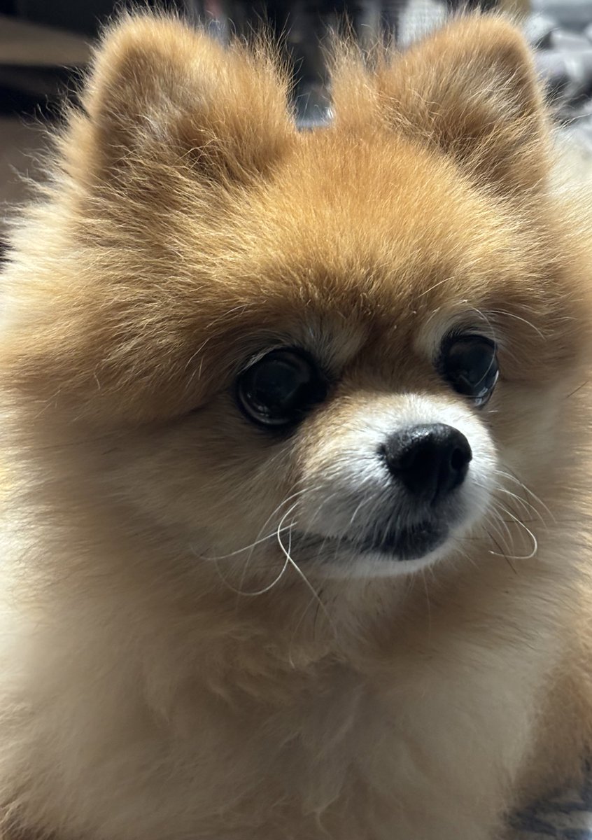 たかぼー (@takabo819) / Posts / X