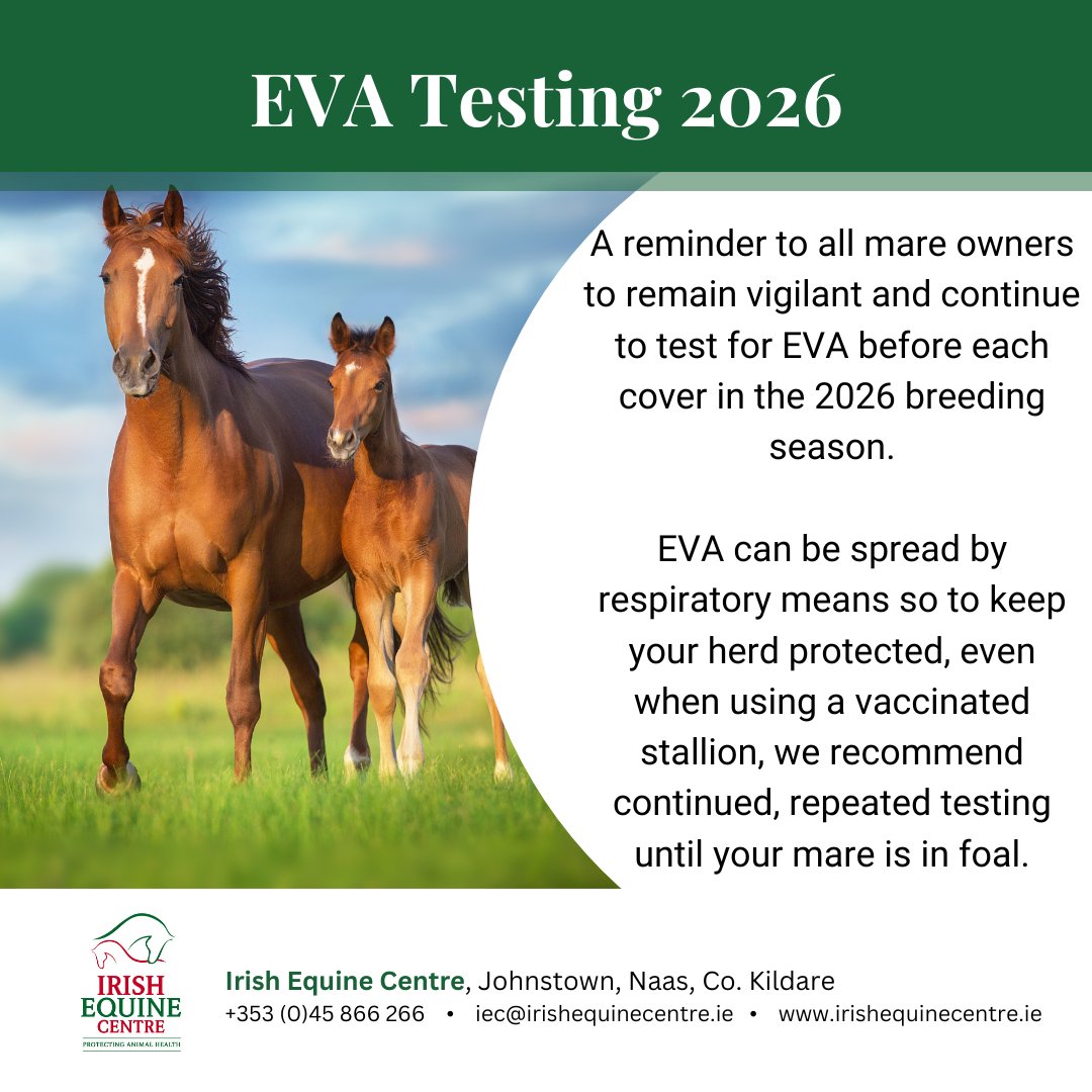 Reminder to all Mare Owners 
As we look ahead to the 2026 breeding season, we would like to remind all mare owners of the importance of adhering to international codes of practice for equine breeding. 
#irishhorses #irishhorsesofinstagram #irishthorughbred #irishhorsebreeders