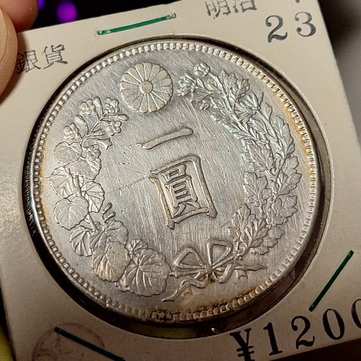 ぽぽろ (@jZPBp4enwqDADoq) / Posts / X