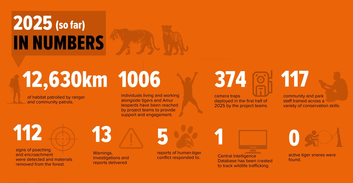 WildCats Conservation Alliance tweet media