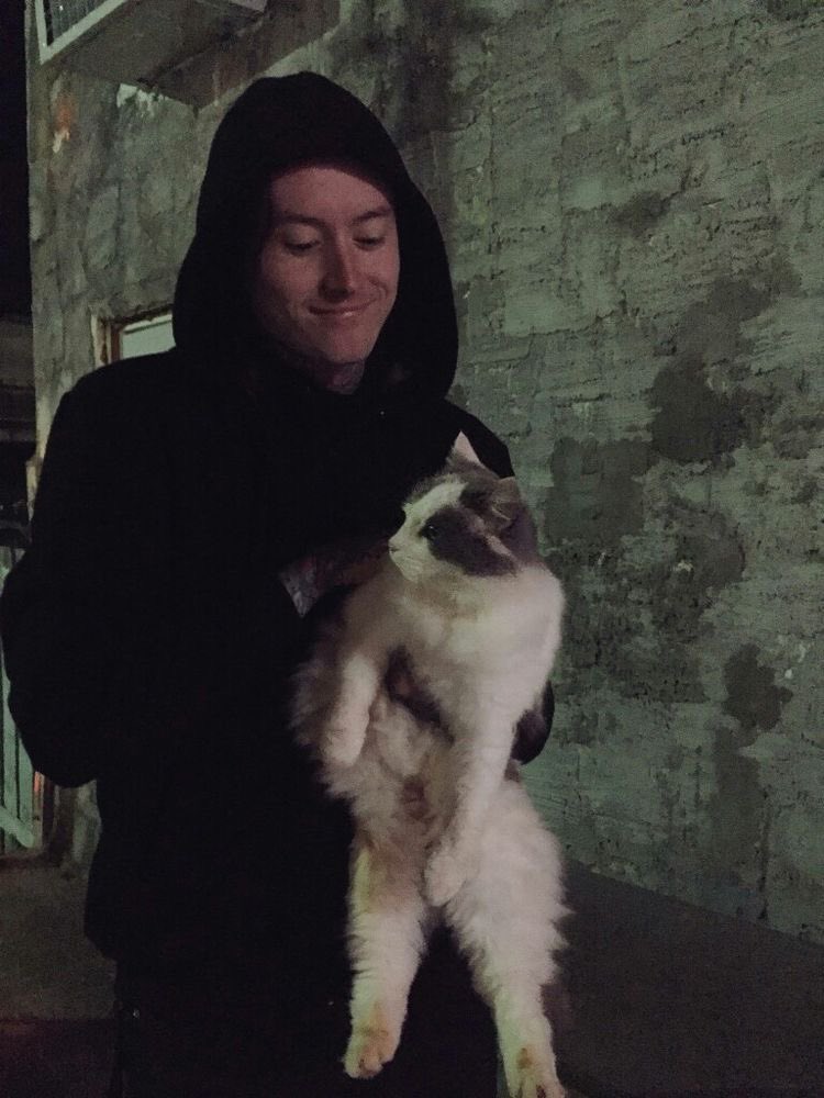 concreteevil's tweet photo. he needs a cat that needs him https://t.co/cxWPYf0j4S