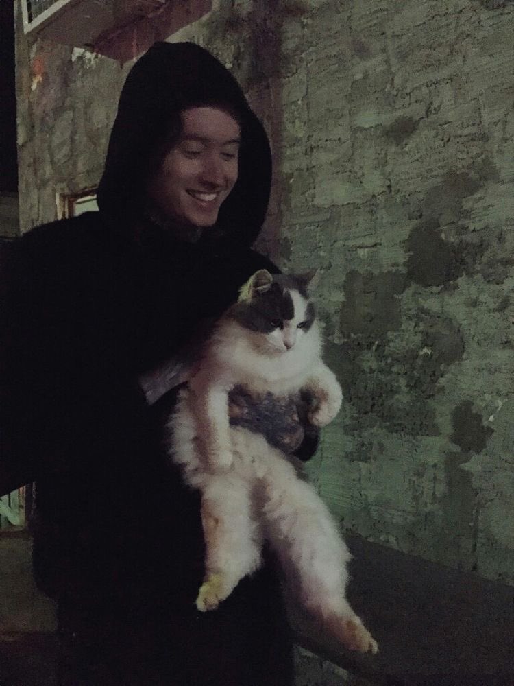 concreteevil's tweet photo. he needs a cat that needs him https://t.co/cxWPYf0j4S