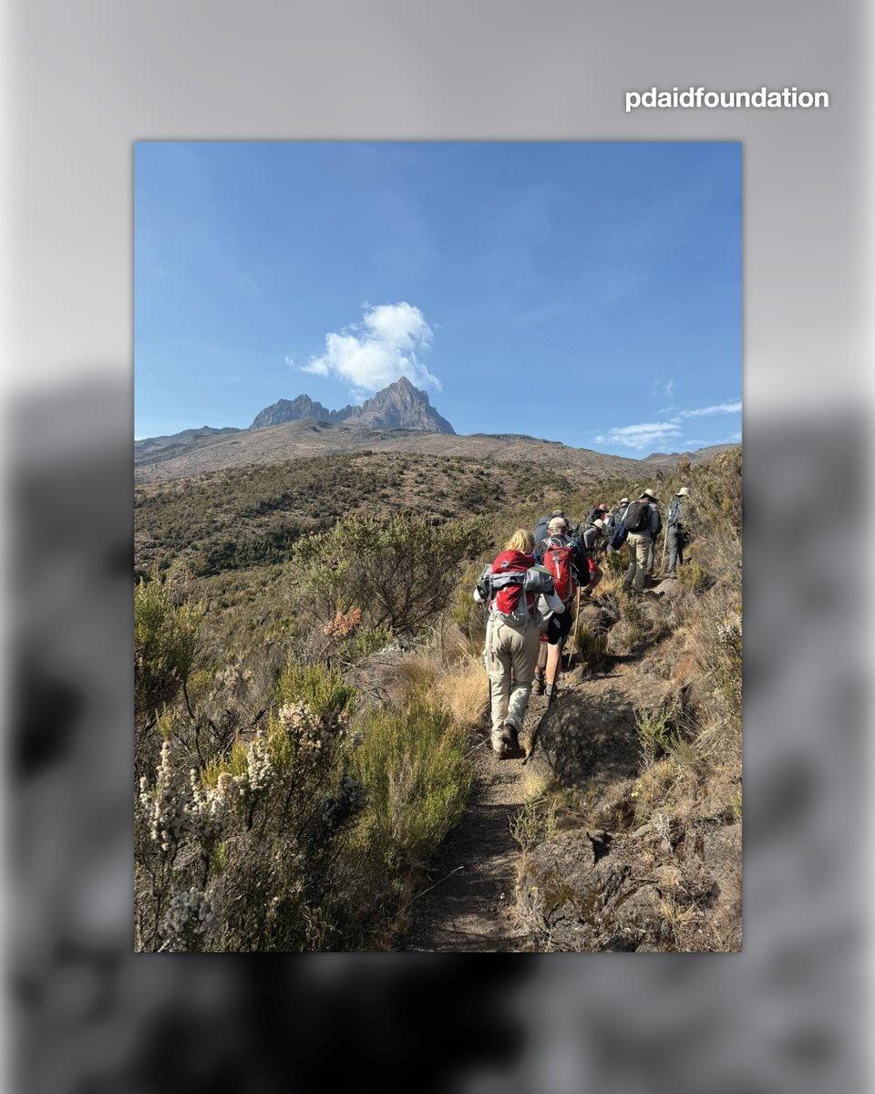 PhoenixDesignAid tweet media