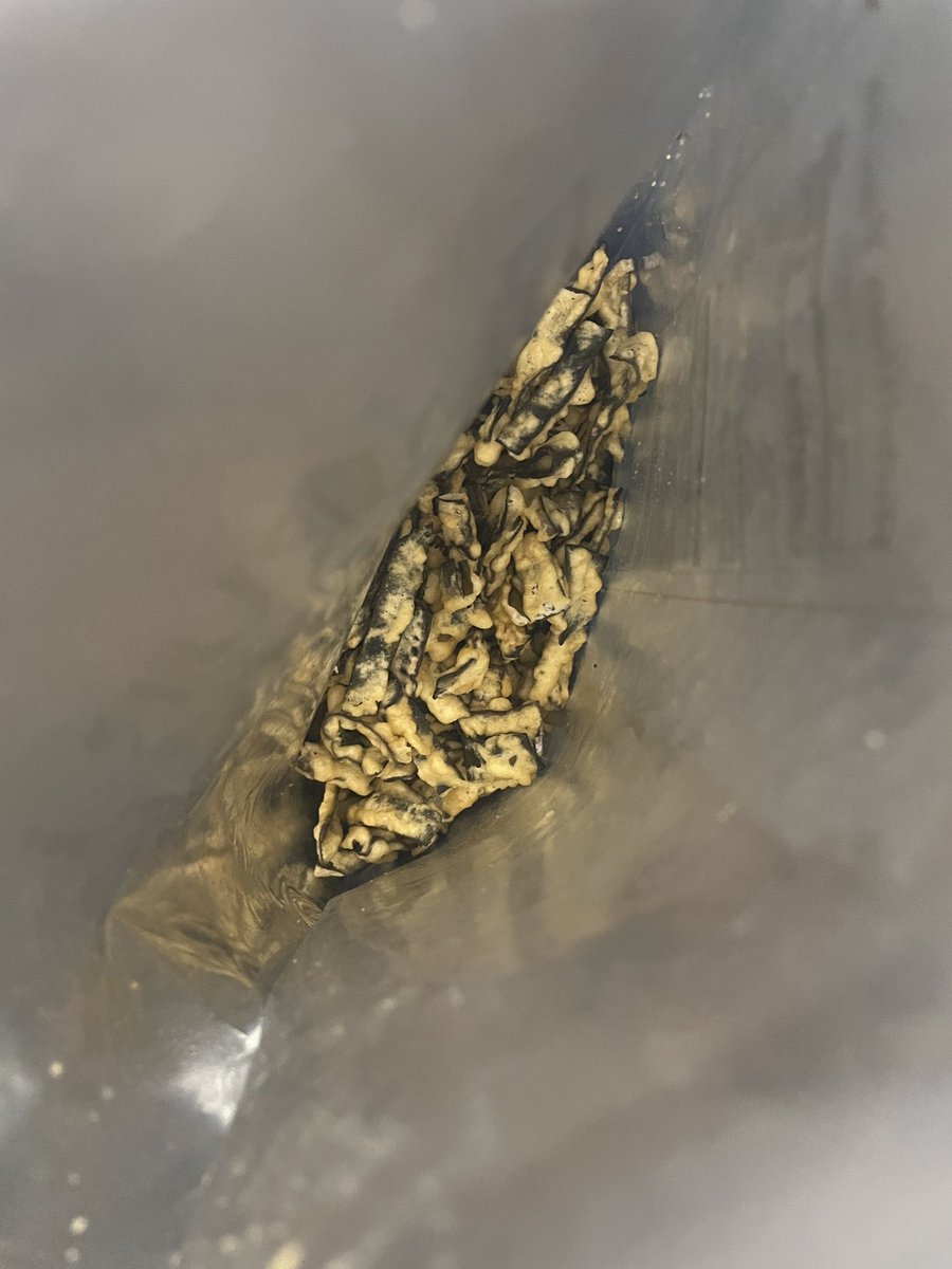 ethanhehehehe's tweet image. I just discovered the joy of tempura kelp chips and now there’s no undoing what has been done