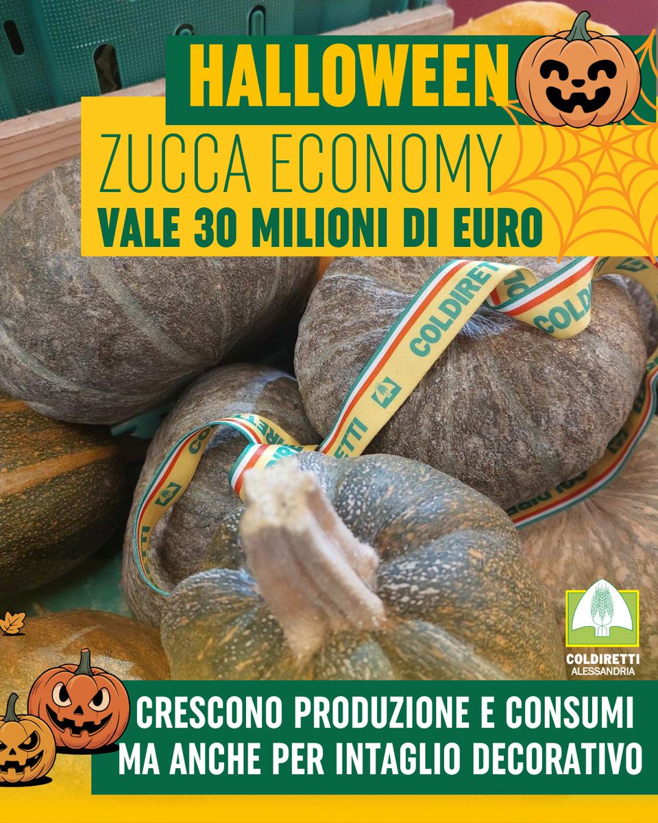 ColdirettiAL's tweet image. #Halloween : Zucca Economy vale 30 milioni, crescono produzione e consumi
Per la regina dell’inverno andamento migliore, qualità e quantità, rispetto al 2024
Prodotti destinati all’utilizzo alimentare anche se cresce la coltivazione di varietà ornamentali
@coldiretti #coldiretti