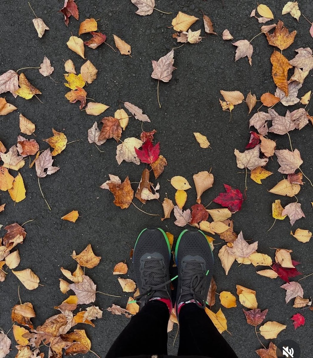 jappsh's tweet photo. Fall teaches us the art of healthy goodbyes β to let go without reaching back. π
Slow down, breathe, and watch how endings turn to beginnings. π»
#Mindfulness #HappyBeginnings #FallInspiration
#USA2022 #Nashville https://t.co/Zi5LgiU1aT