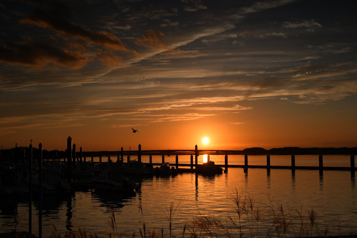 2025年10月29日
浜名湖　古人見の夕景
October 29, 2025 Evening view of Kohito-mi, Lake Hamana