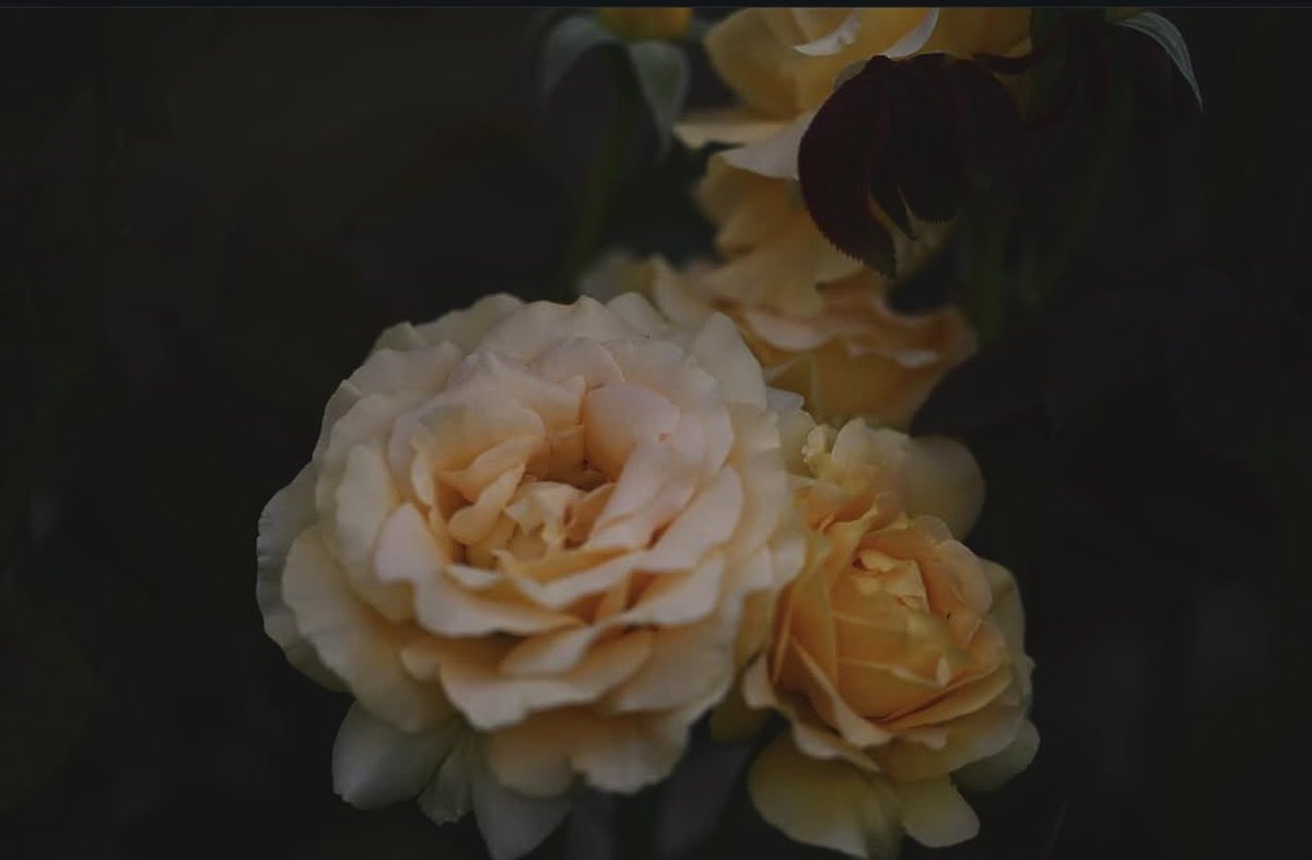 たくみ　宜しくお願い致します。 たくみ on X