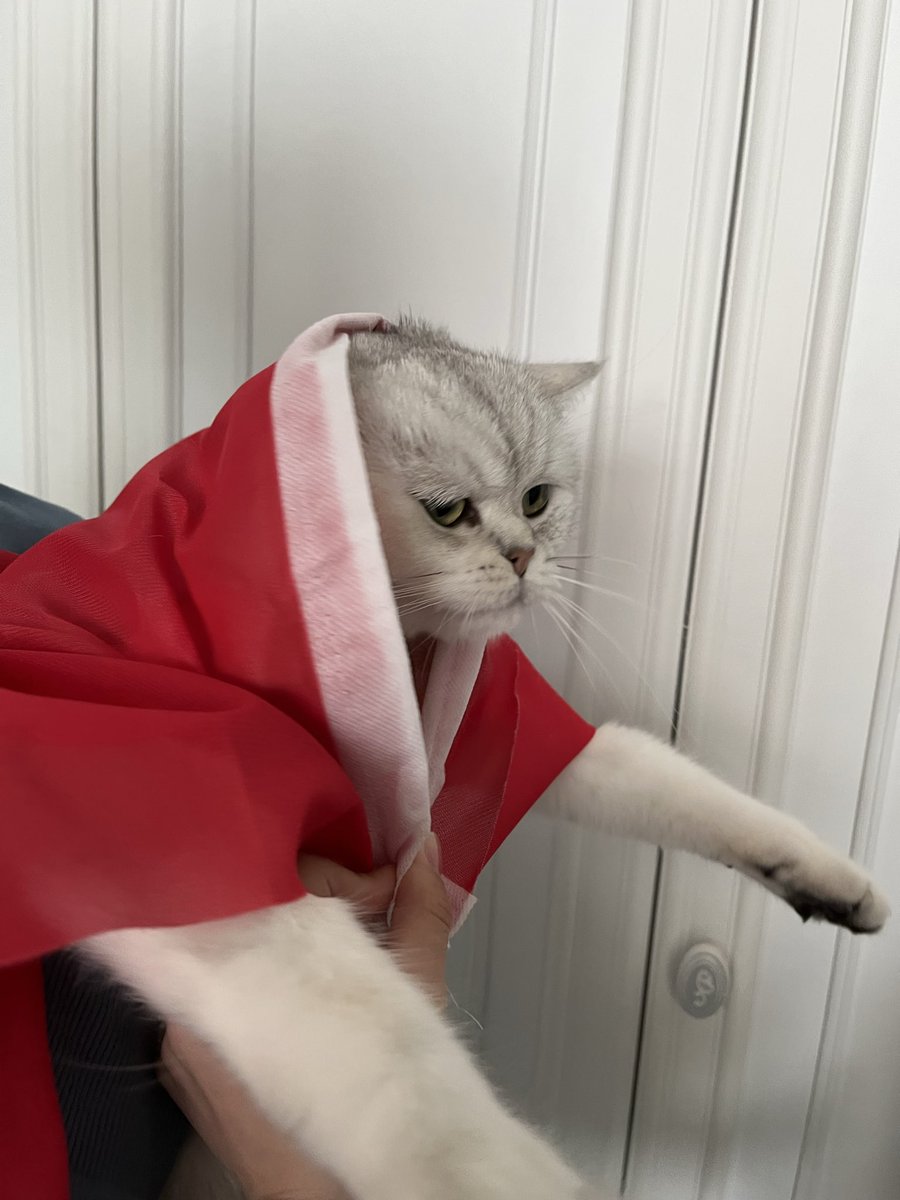 Cumhuriyet bayramımız kutlu olsun🇹🇷🇹🇷🇹🇷🇹🇷🇹🇷🇹🇷🇹🇷🇹🇷🇹🇷