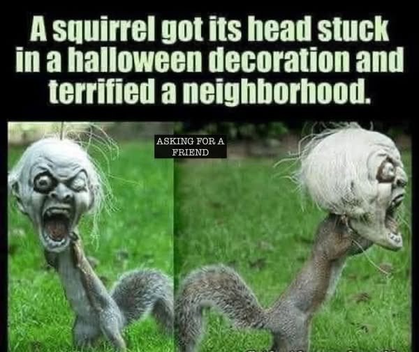 💀🐿️💀