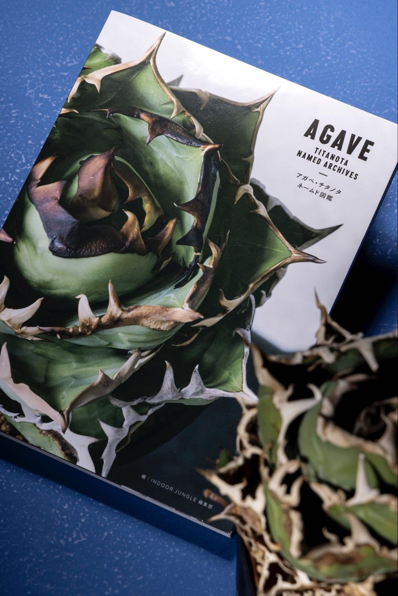 おかげさまでAmazonで一時的に品切れ中になっております。よろしければ今しばらくお待ちいただくか、お近くの書店などで手に取っていただけると幸いです！

アガベ・チタノタ ネームド図鑑 AGAVE TITANOTA NAMED ARCHIVES amzn.asia/d/gRwqF6U
