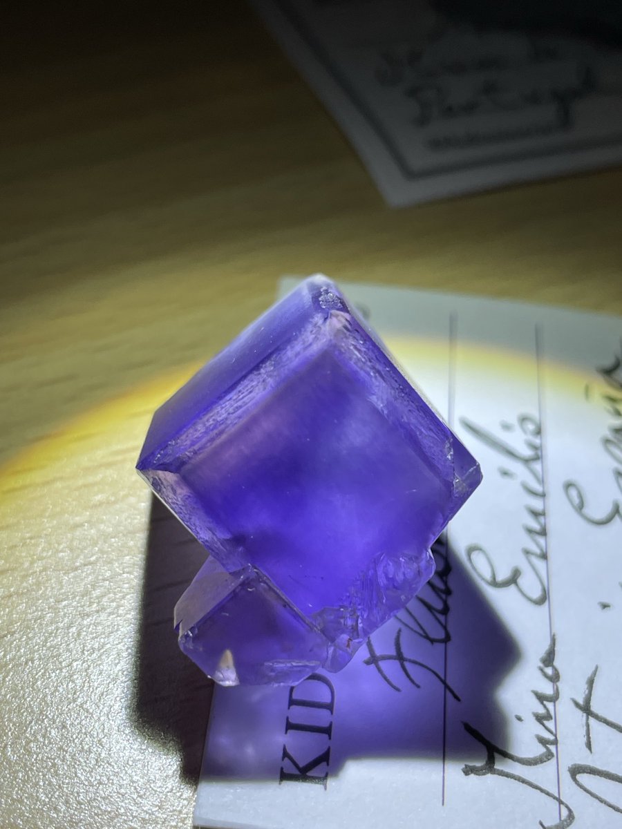 野良猫鸚哥@ｴﾍﾟﾃｨﾄｵ大好き on X