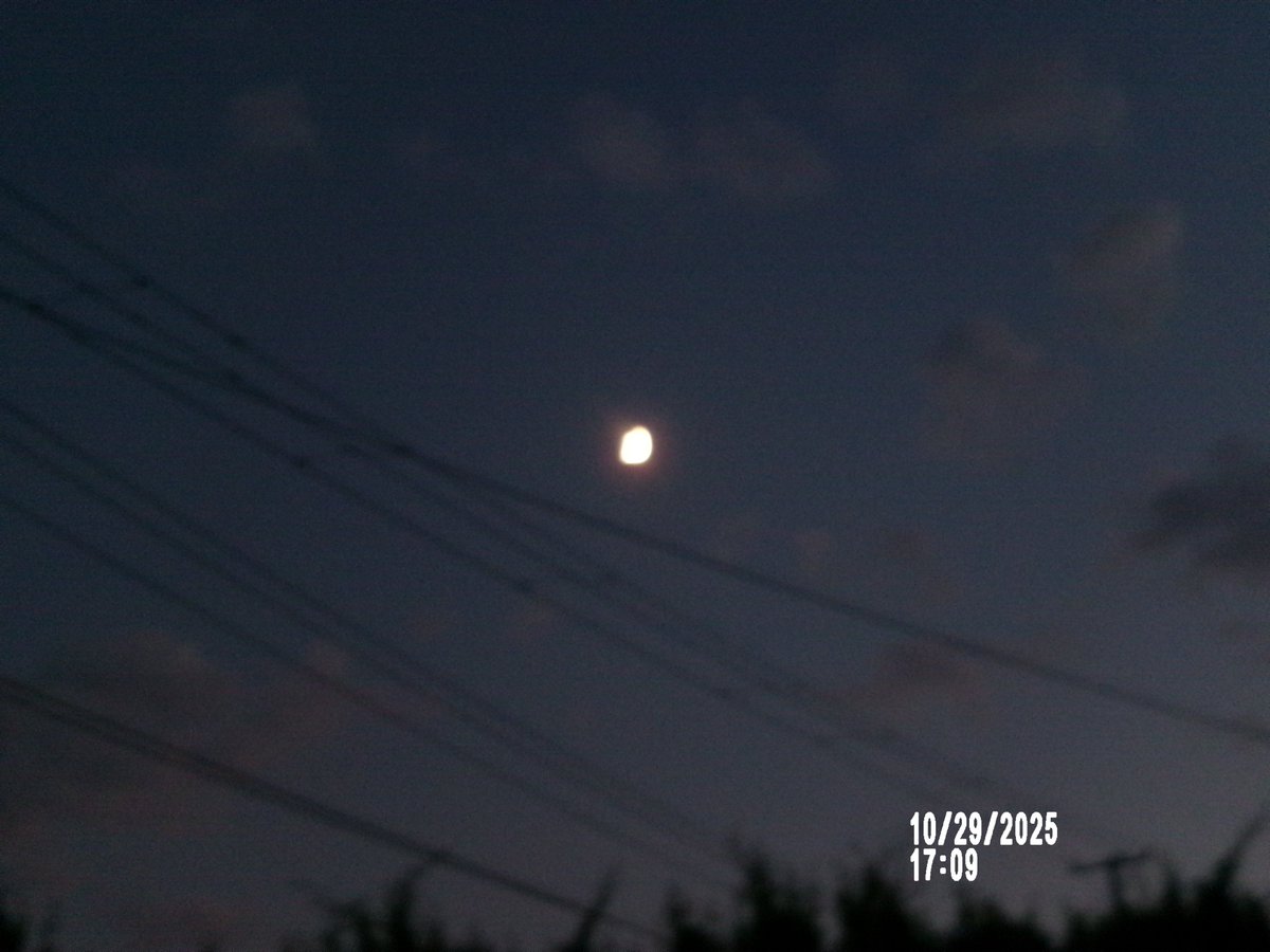 のりちゃんページ のりちゃん2 on X