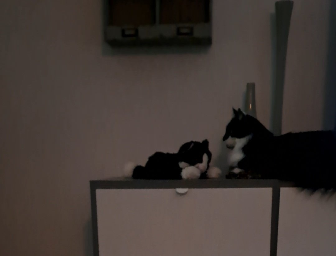 #Wybert bij wie lig ik nou, bij Wybert 2.0 . ❤️❤️😻

Vrouw-en manmens gaan zo #stemmen, beter stemmen dan een verloren stem.