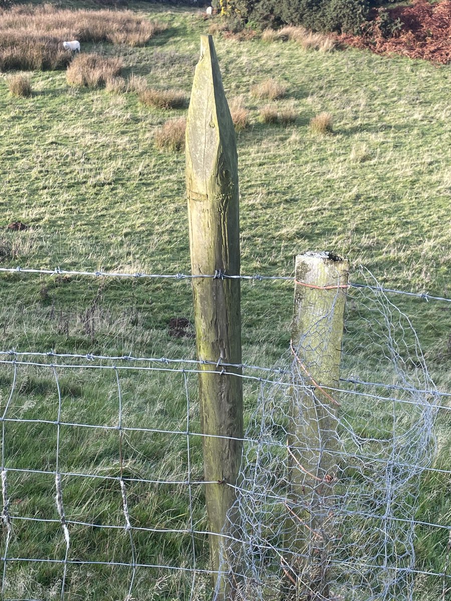 Geoff Sansome tweet media