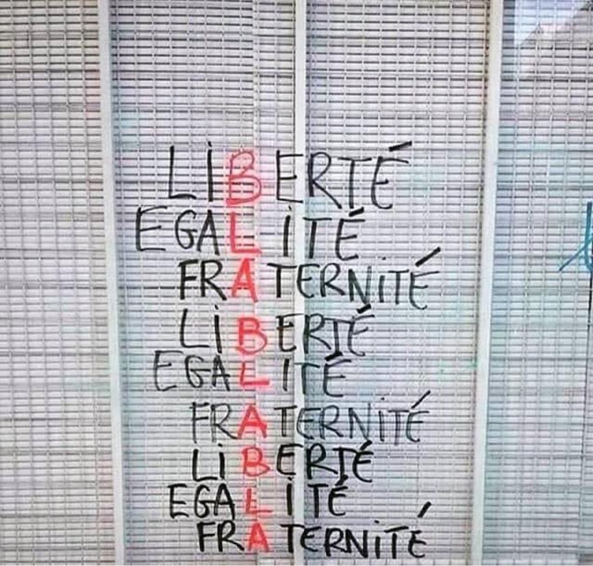 Rachel Mayfield tweet media