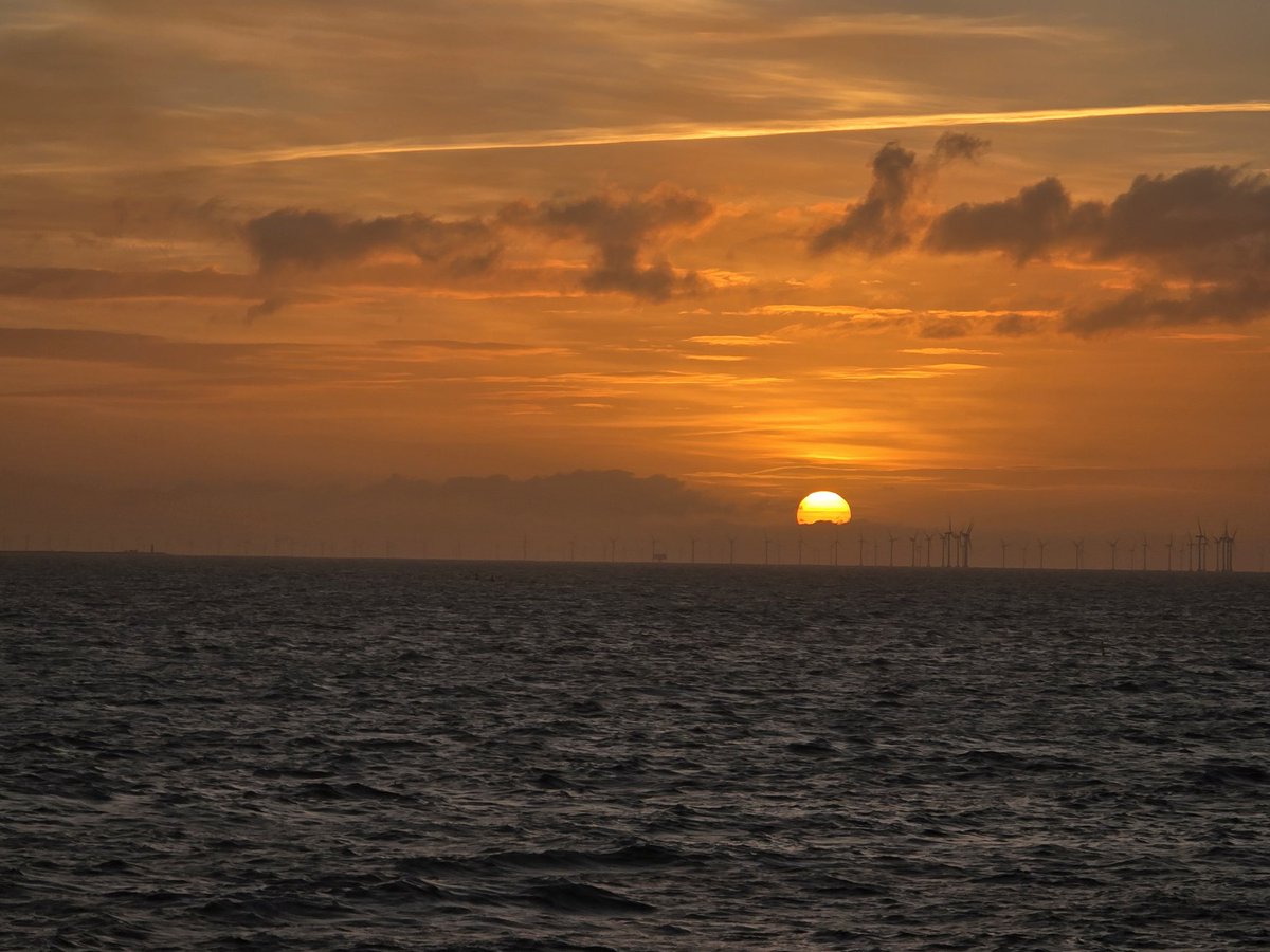 MeikBier 🇩🇪 tweet media